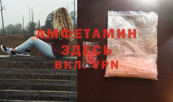 шишки Алзамай