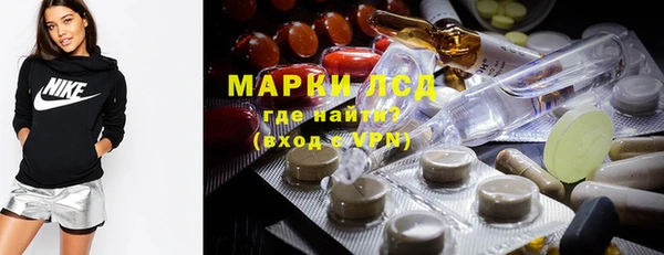 шишки Алзамай