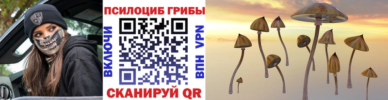 Галлюциногенные грибы мухоморы  как найти наркотики  Неман 